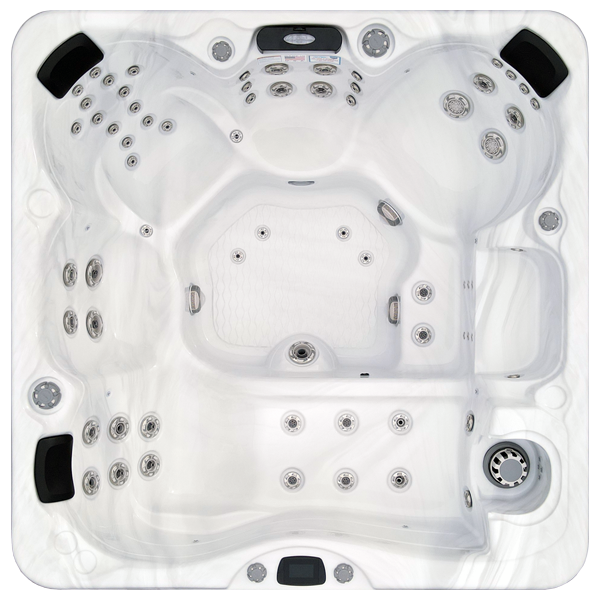 Avalon-X EC-867LX hot tubs for sale in Anchorage